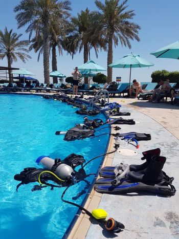 Ocean Vibes Diving School on the Pool