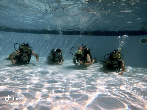 Training on the pool
